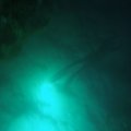 P6050071
