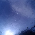 PA011174
