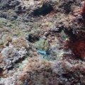 PA011203