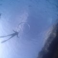 PA011220