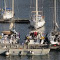 Voile apnÃ©e Port-Cros 14-16.05.16 (13)