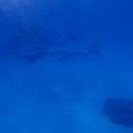 P9250392