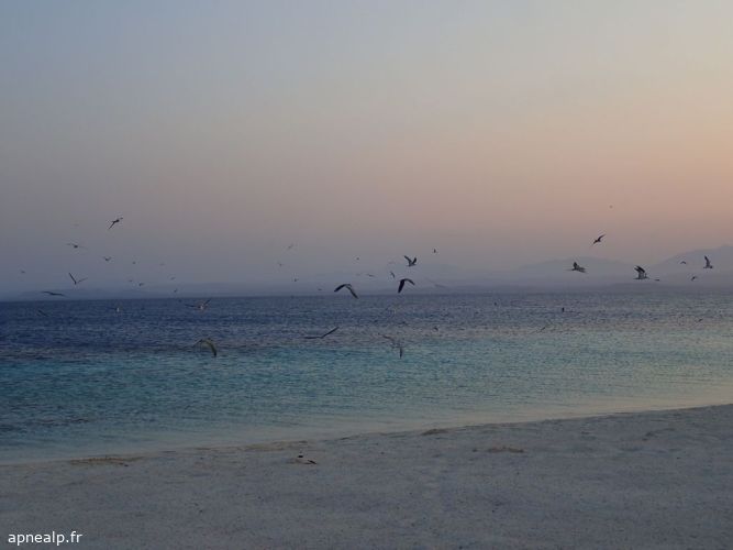 twg_slideshow