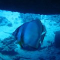 IMG_9405