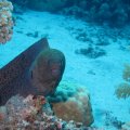 IMG_9570
