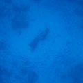 IMG_9602