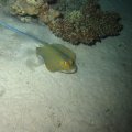 IMG_9675