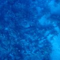 IMG_9717