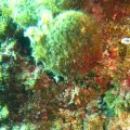 IMG_8964