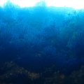 IMG_8968