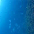 IMG_8972