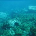 DSCF2529