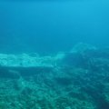 DSCF2530
