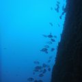 DSCF2599