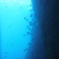 DSCF2601