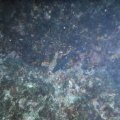DSCF2603