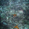 DSCF2604