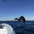 S0052579