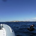 S0052582