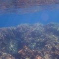 IMG_8880