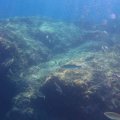 IMG_8881