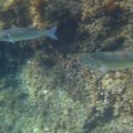 IMG_8886