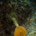 IMG_8891