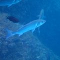 IMG_8908