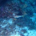 IMG_8911