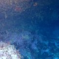 IMG_8794