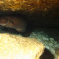 IMG_8808