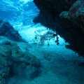 IMG_0596