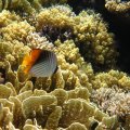 IMG_0615