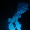 IMG_0648
