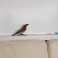 20180904_102032