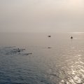 20180904_162329