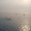 20180904_162335