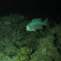 P9050449