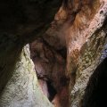 IMG_4614