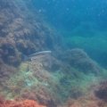 IMG_1043