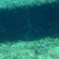 IMG_1071