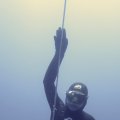 IMG_2020