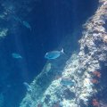 IMG_2027