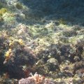 IMG_2037