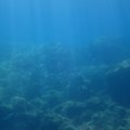 IMG_2041