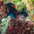 IMG_2072