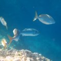 IMG_2076