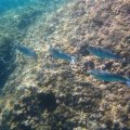 IMG_2082